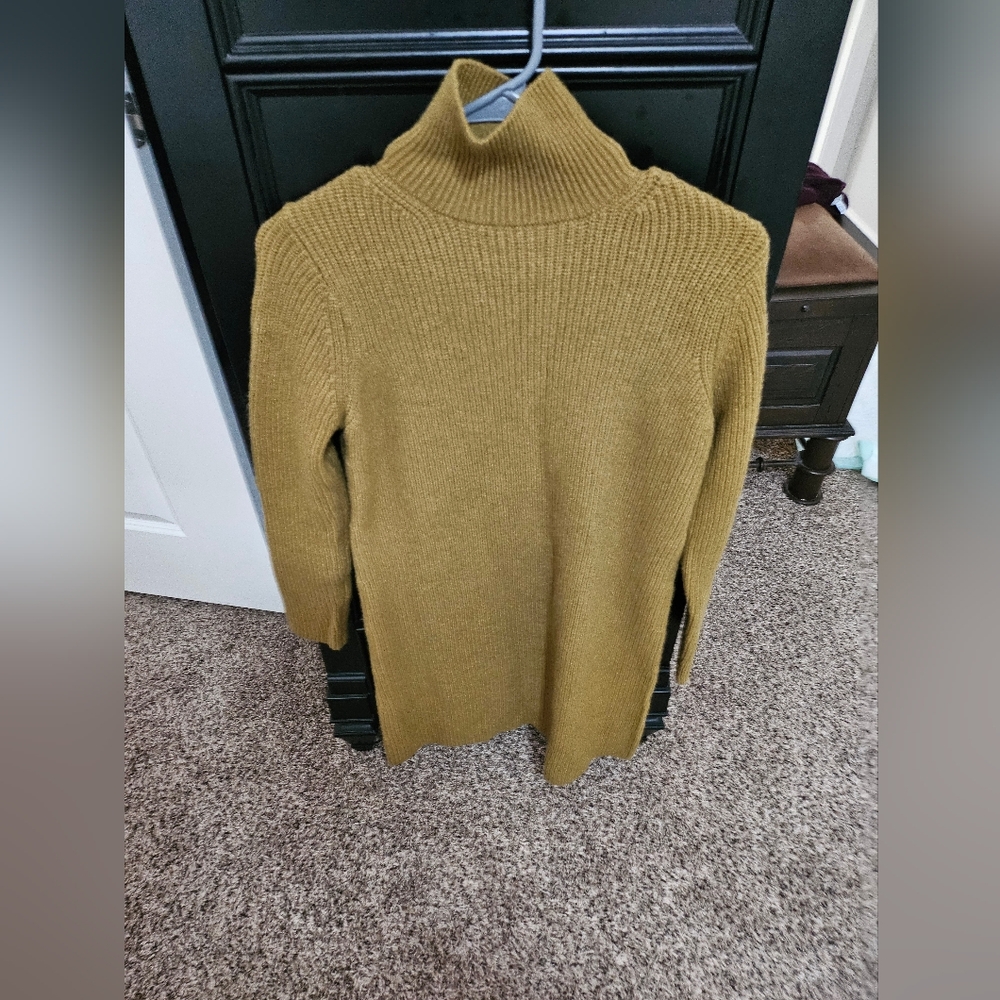 Zara knit turtleneck dress